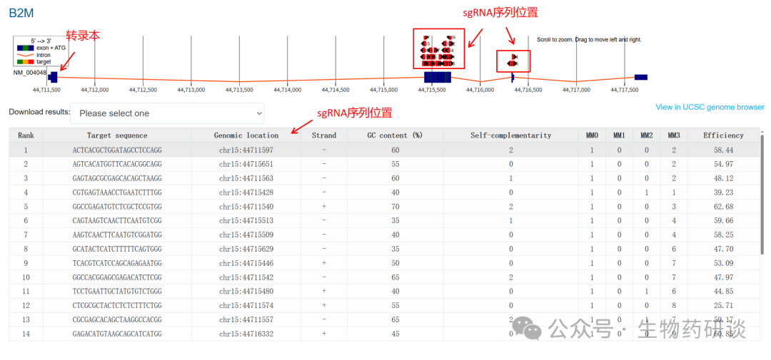 输出结果界面（注，如图sgRNA红色代表大量脱靶，绿色代表无脱靶，sgRNA两侧的黑色三角表示sgRNA的方向性，绿色竖线代表潜在的ATG起始密码子)