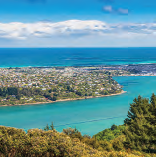 2025年新西兰八大院校本科入学条件解析(图4)