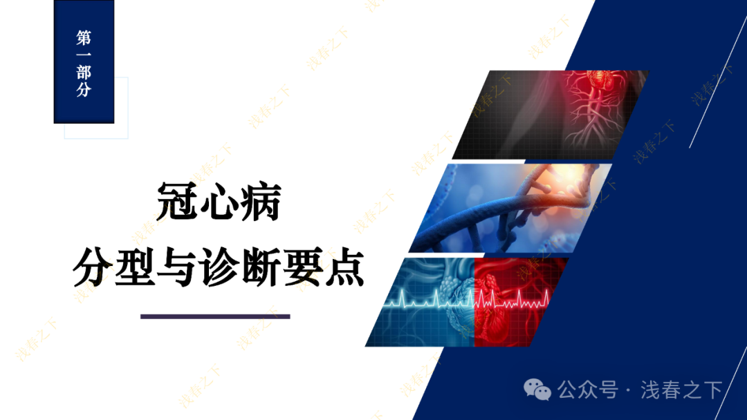 冠心病合理用药与综合管理