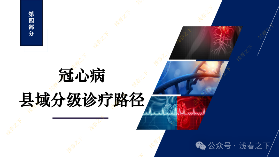 冠心病合理用药与综合管理