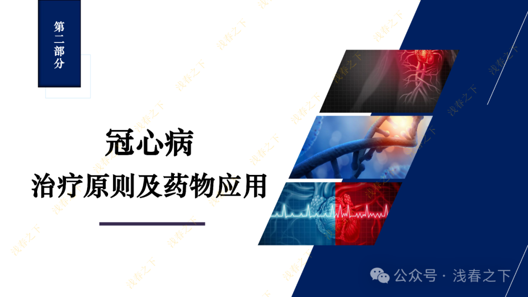 冠心病合理用药与综合管理