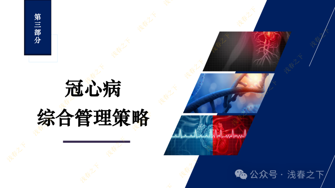 冠心病合理用药与综合管理