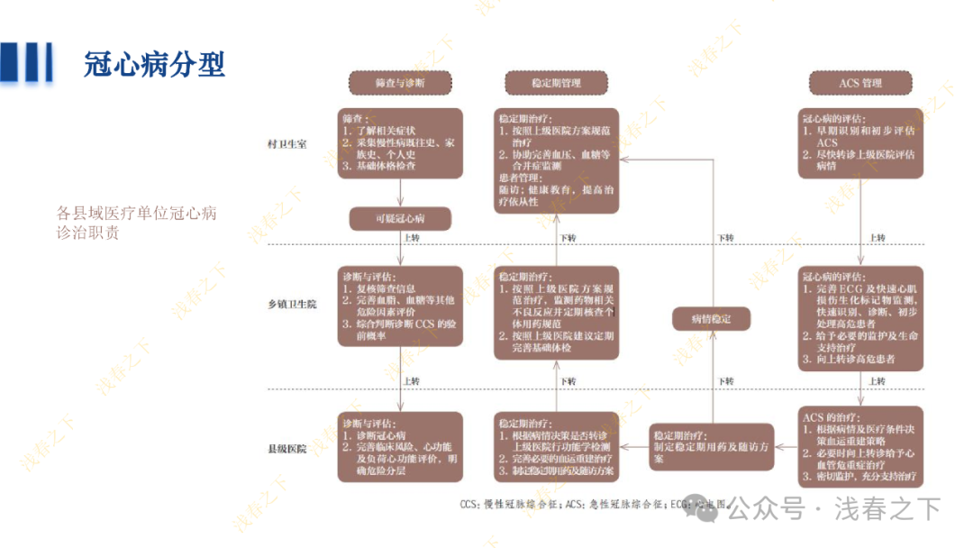冠心病合理用药与综合管理
