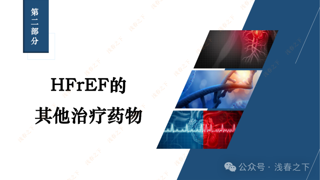 HFrEF心力衰竭【五朵金花】用药