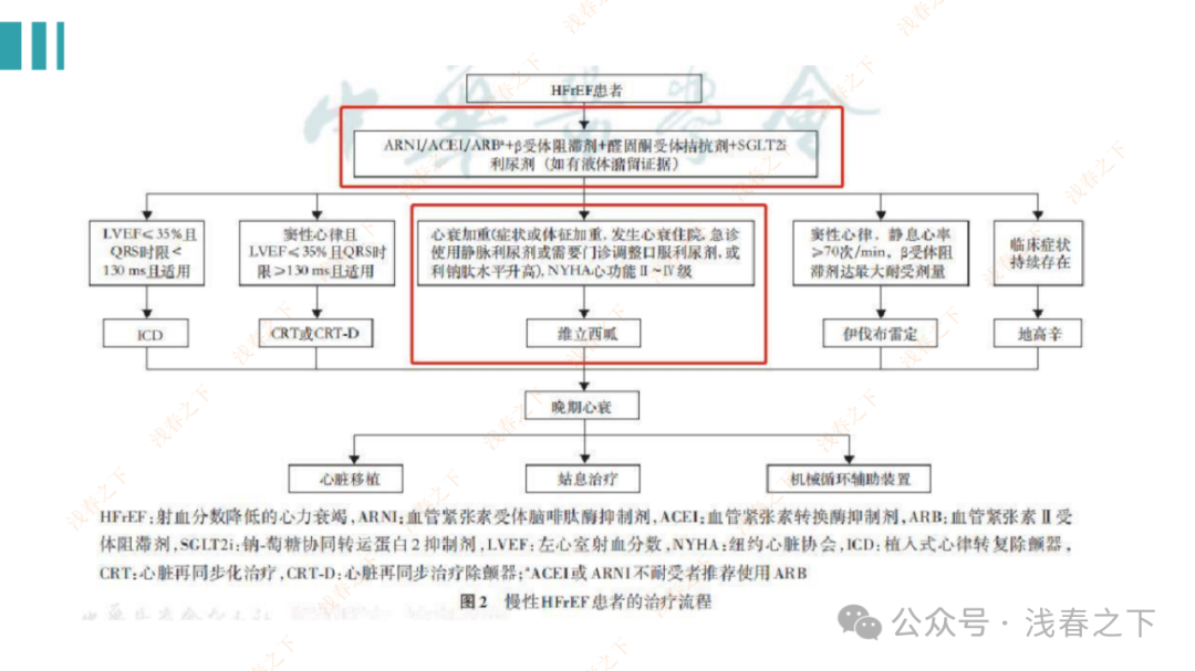 HFrEF心力衰竭【五朵金花】用药