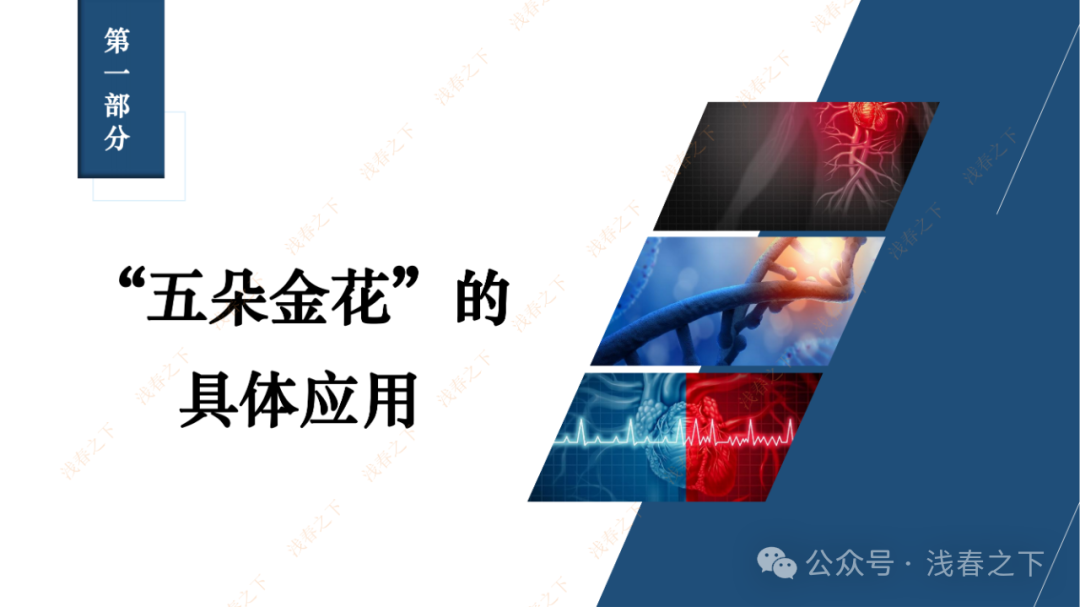 HFrEF心力衰竭【五朵金花】用药