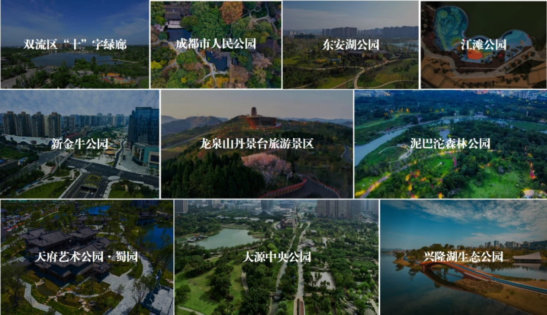 “十大百佳”| 城园相融，各美其美！评选出的十大公园，你去过几个？ - 关注森林