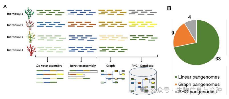 泛基因组组装方法及其格式。