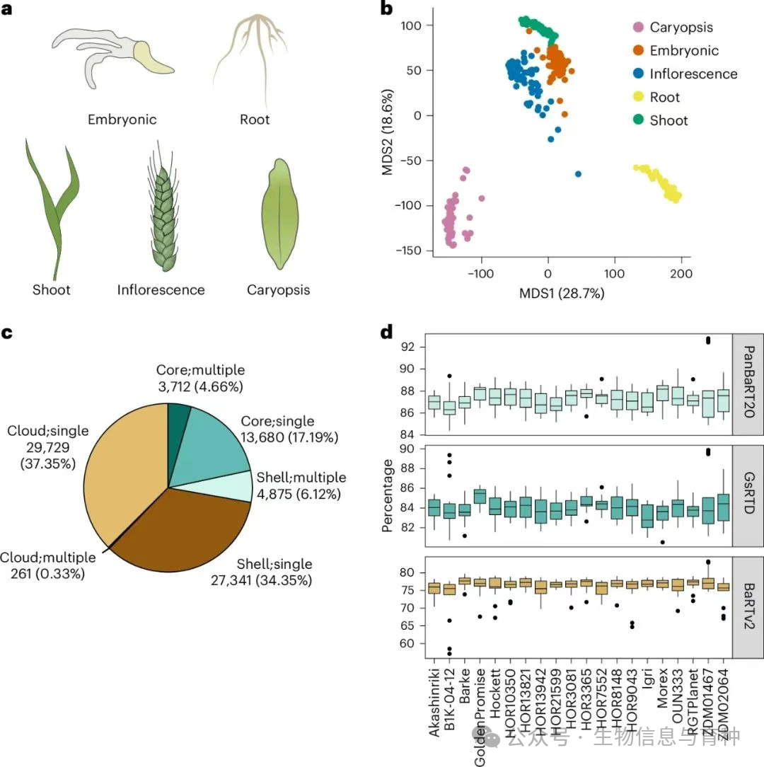 转录本多样性和分类
