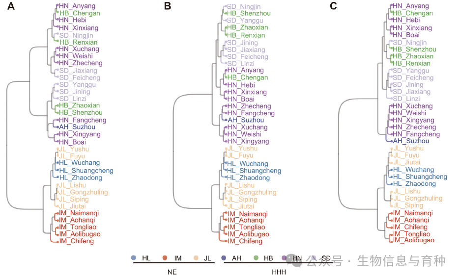 基于日气候数据的34个环境的层次聚类分析