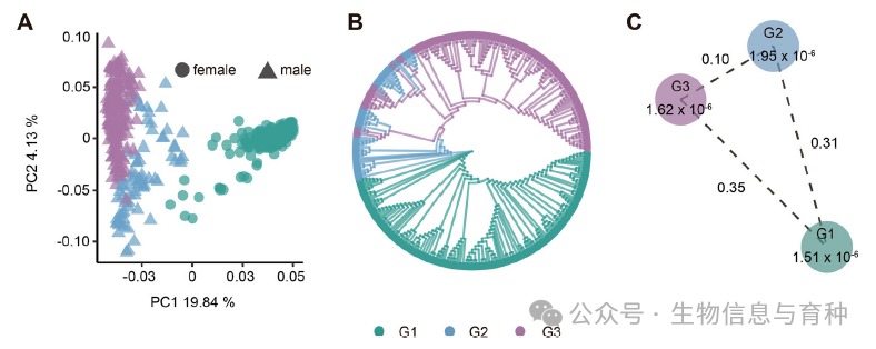 475份玉米自交系遗传多样性与群体结构
