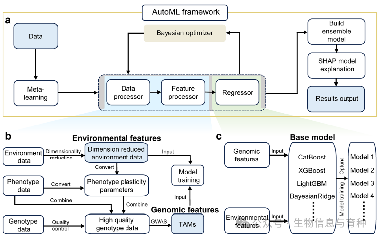 用于玉米杂交种遗传分析和基因组预测的自动化机器学习框架设计。