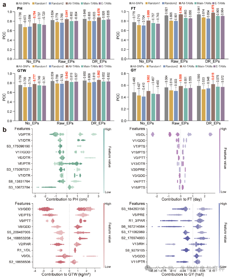 利用自动化机器学习框架训练和解读基因组预测模型。