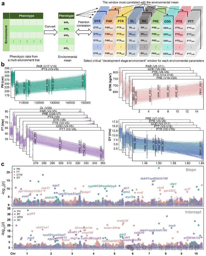 表型可塑性参数估计与全基因组关联分析。