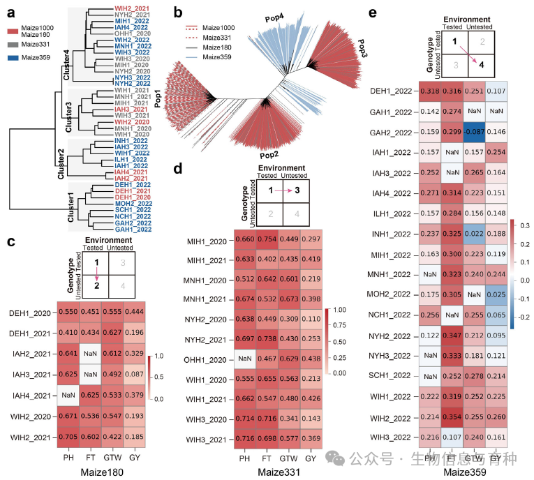 多环境联合基因组预测：跨环境和跨基因型
