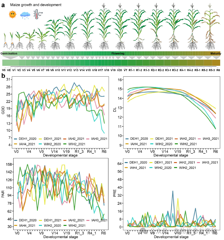 根据玉米杂交种发育时期的环境参数降维