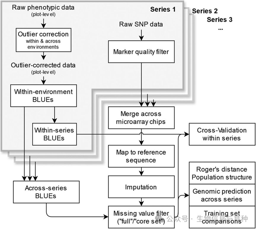 数据处理步骤的示意图概述