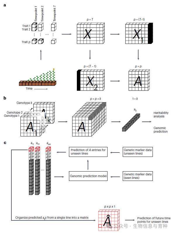 DynamicGP算法示意图