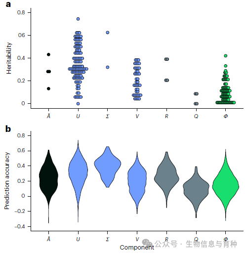 玉米数据集上遗传力估计值和预测准确性
