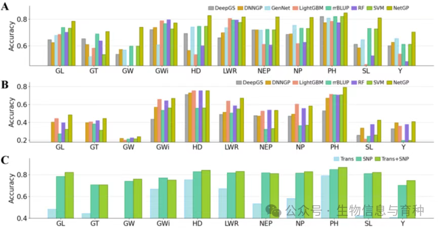 模型预测精度比较