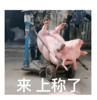 减肥中频技术是什么国家喊你来减肥啦！我院康复科带你解锁减肥新姿势-穴位埋线！-上海聚慕医疗器械有限公司
