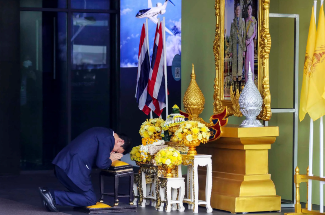 他信家族连续遭遇暴击前景怎样