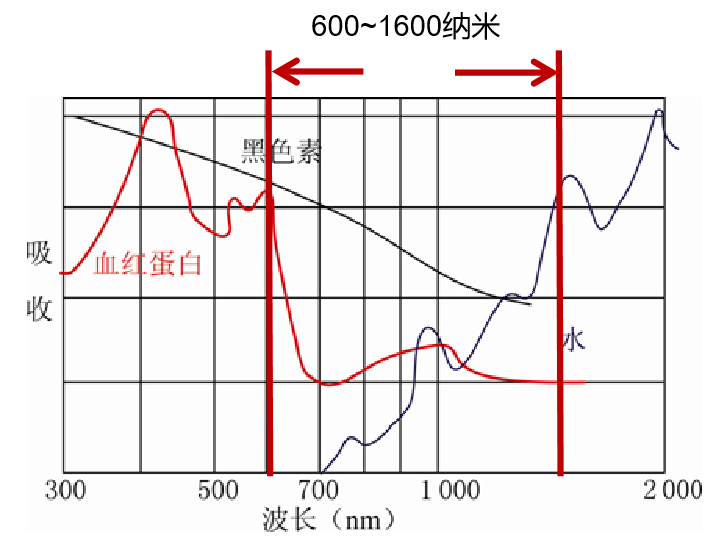透热疗法有哪些【科普帖】热疗常识知多少_https://www.jmylbn.com_新闻资讯_第10张