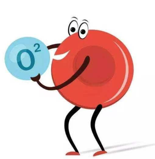 为什么要使用吸氧为什么贫血患者需要吸氧？_https://www.jmylbn.com_新闻资讯_第14张