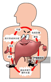 esr血沉是什么意思血沉（ESR）的检测及临床意义_https://www.jmylbn.com_新闻资讯_第7张