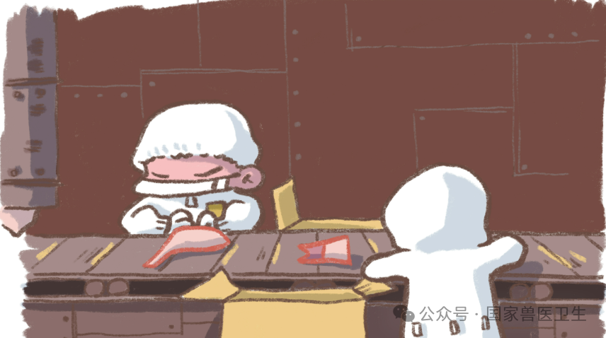白条猪分割
