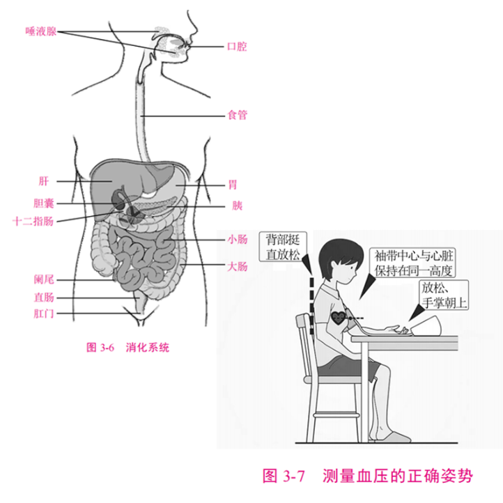 大学生教案下载_大学生教案资料库_大学教案模板下载