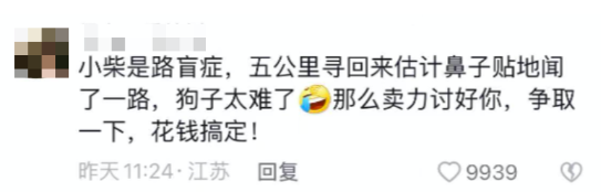分手后狗子被前男友带走，却半夜自己偷跑回来，笑得一脸谄媚：别不要我…（组图） - 7