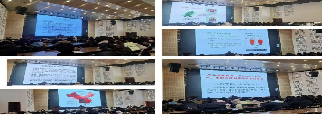 3d857d129e11f9f6877effd6834bbd6fpng