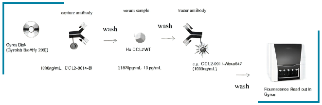 使用Gyrolab实现100%血清中游离抗原的准确测定