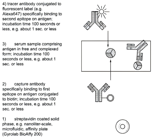 使用Gyrolab实现100%血清中游离抗原的准确测定
