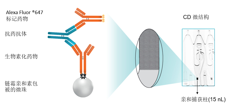 高效Gyolab抗藥抗體檢測解決方案，簡化操作同時提高精確度