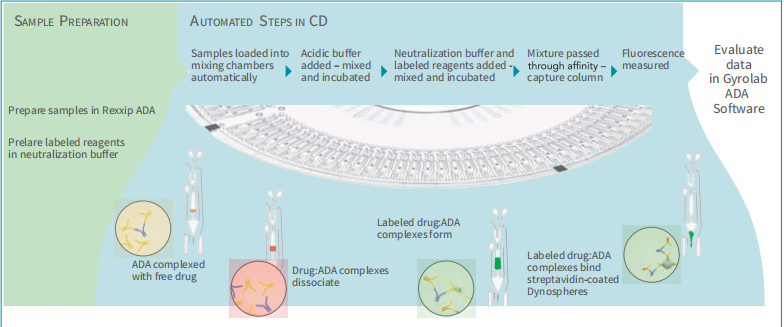 高效Gyolab抗藥抗體檢測解決方案，簡化操作同時提高精確度