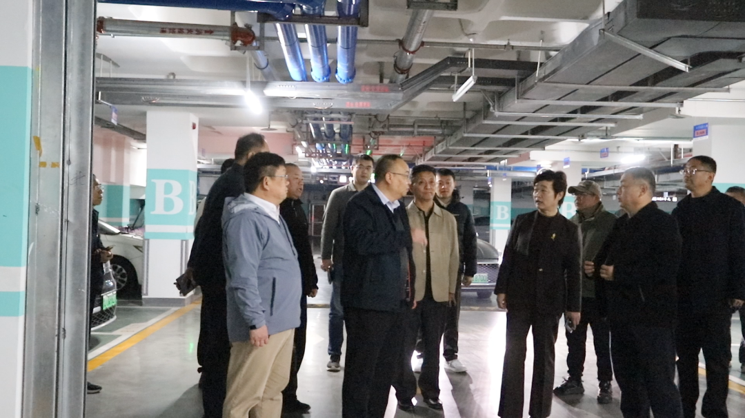 _法定主动公开范围内的政府信息_法定公开主动内容包括哪些