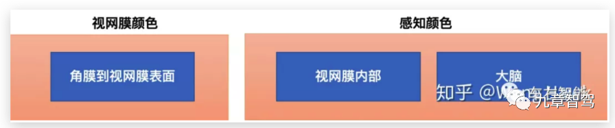 干掉ISP，特斯拉“純視覺路線”的關鍵一躍的圖2