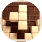 俄罗斯方块经典版游戏软件