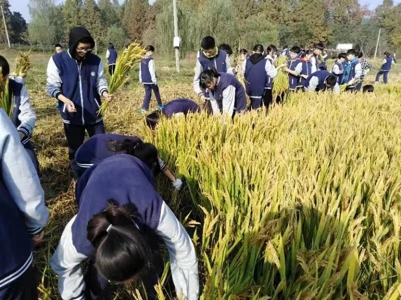 杭州二中树兰实验学校_杭州二中树兰实验学校老师_杭二中树兰实验学校初中招生