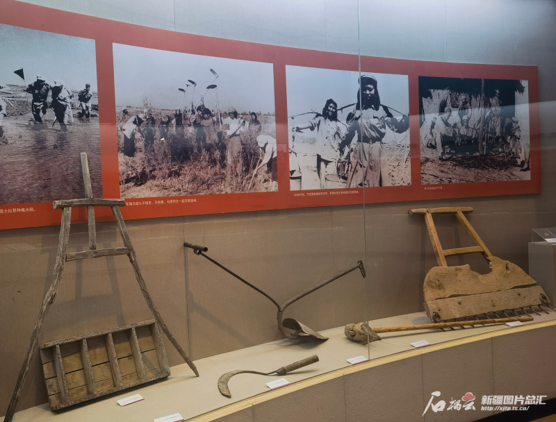 铸剑为犁 建设一个新世界——"第二个结合"改变新疆(上)