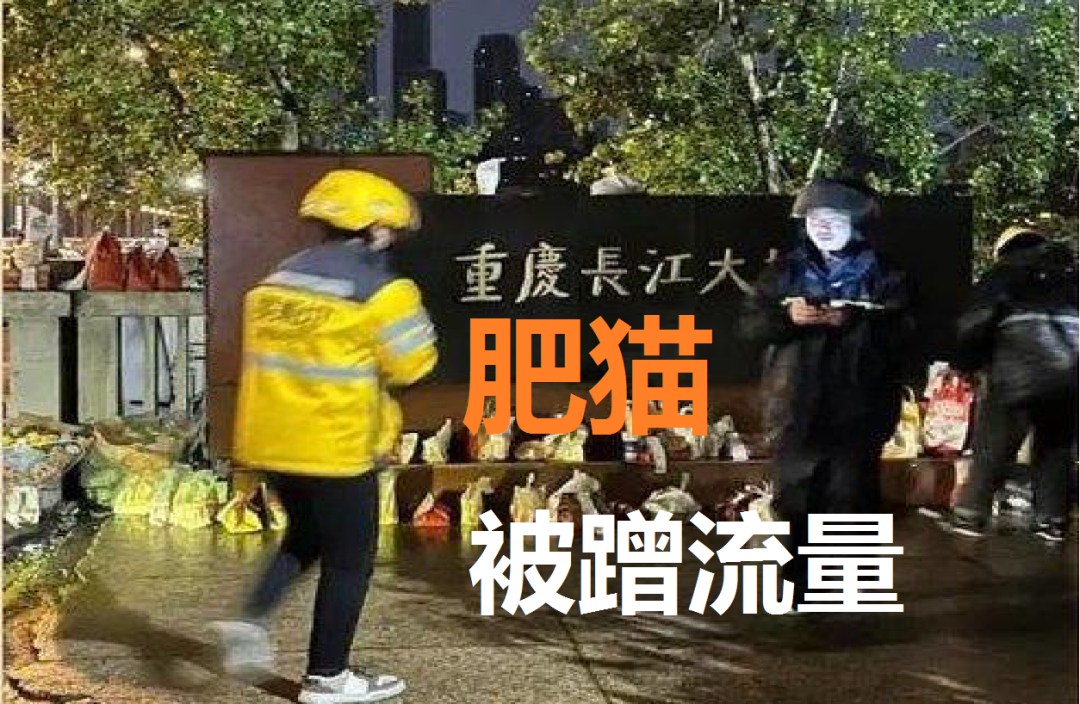 肥猫事件背后有一股破坏势力