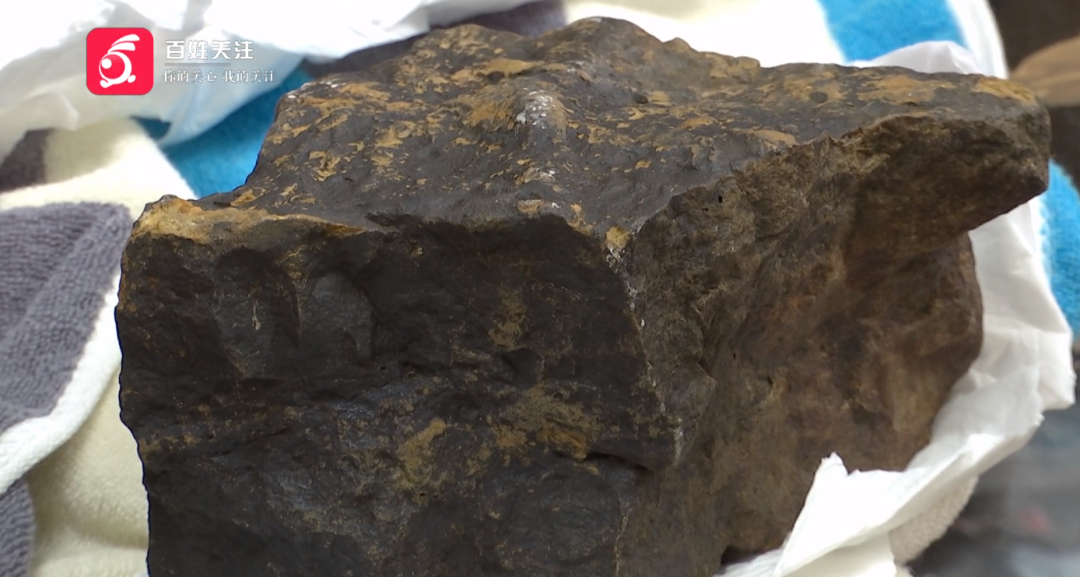 专家回应>无声的谎言>2024-03-011256>1080_577