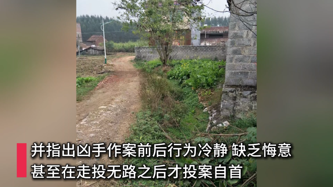 男子幻想被作法射杀邻居后还去喝茶