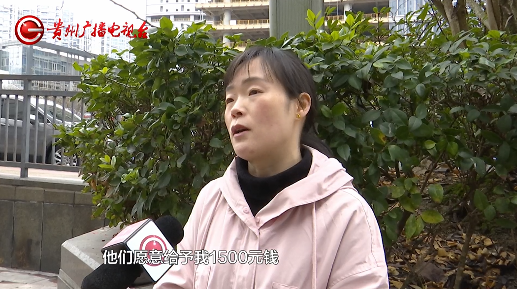 治疗过程中，爱宠突然死亡！女子崩溃：怀疑治疗措施不当