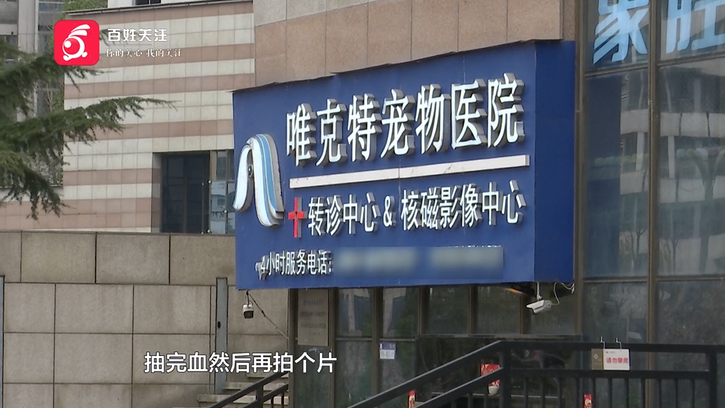 治疗过程中，爱宠突然死亡！女子崩溃：怀疑治疗措施不当