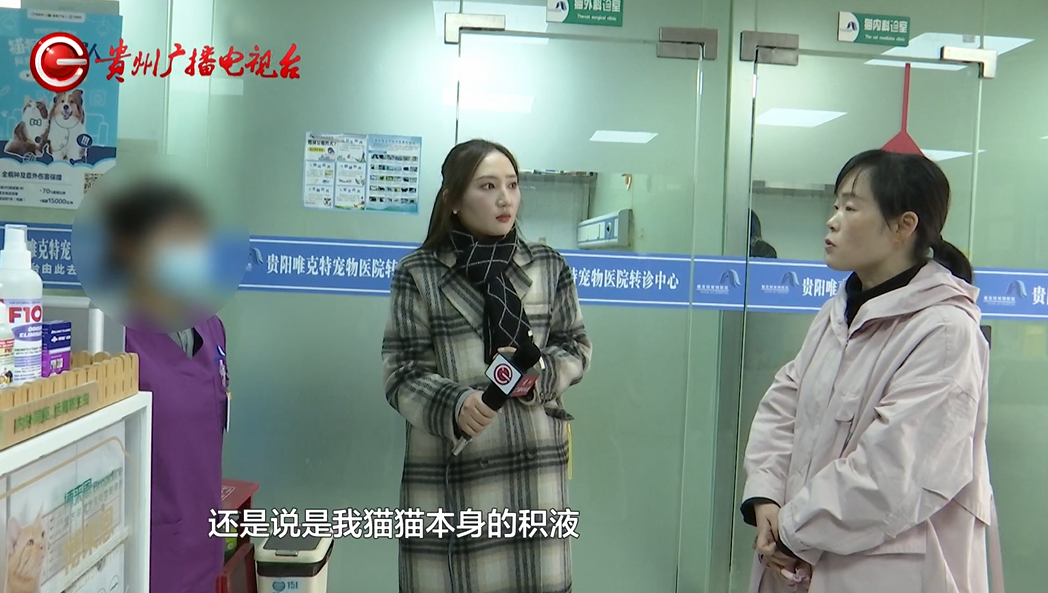 治疗过程中，爱宠突然死亡！女子崩溃：怀疑治疗措施不当