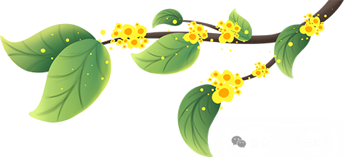 2024年河北省水文勘测技能竞赛中的“新仪器设备