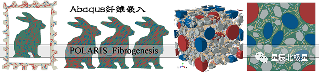 POLARIS_Fibrogenesis 细观结构的随机纤维嵌入插件的图1